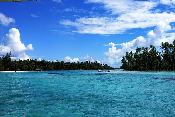 1/2 day Tahaa coral garden - departure Raiatea / ideal for cruise passengers - The coral garden is the reason to go