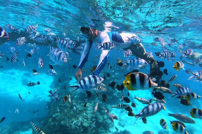 1/2 day Tahaa coral garden - departure Raiatea / ideal for cruise passengers - Reaching the water over broken coral