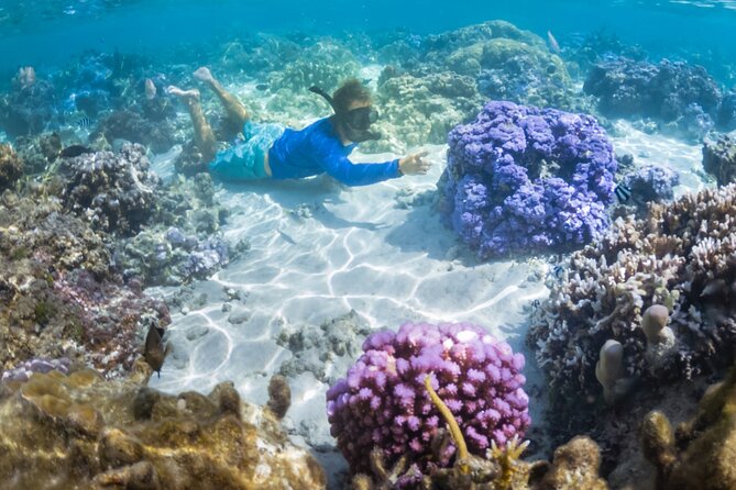 1/2 day Tahaa coral garden - departure Raiatea / ideal for cruise passengers - The 35 to 45 minute ride from Raiatea