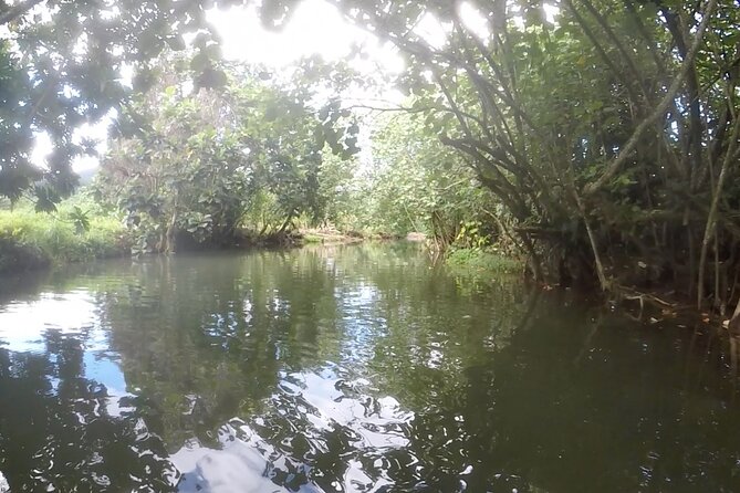 1/2 day "Treasures of Raiatea" by boat - ideal for cruise passengers - Lagoon crossings are part of the experience
