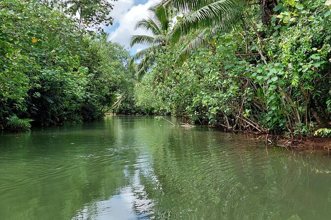 1/2 day "Treasures of Raiatea" by boat - ideal for cruise passengers - Weather is the serious practical concern