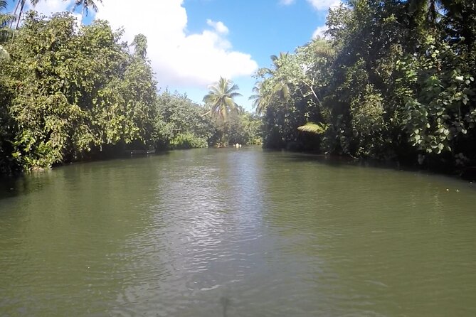 1/2 day "Treasures of Raiatea" by boat - ideal for cruise passengers - Who will enjoy this Raiatea boat trip
