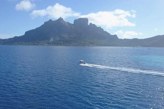 2 Dives in the morning for certified divers in Bora Bora - Equipment, tanks, and the between-session break