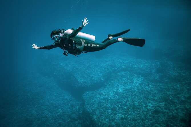 2 Dives in the morning for certified divers in Bora Bora - Is $235.69 a fair price?