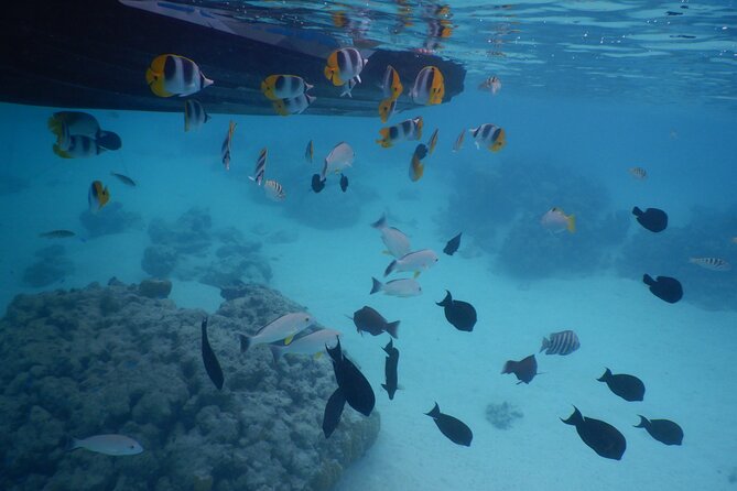 2 hours discovery tour of Moorea by Jet Ski - Riding along Moorea’s north coast