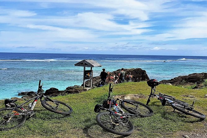 3-Hour Rarotonga Island Discovery Tour - Food gardens, plantations, and daily island life
