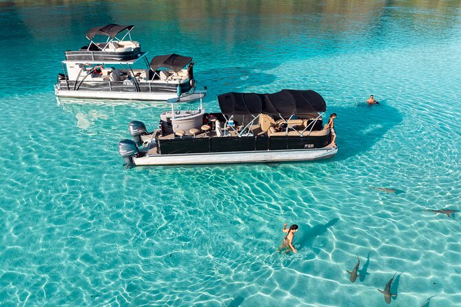 3-Hour Snorkeling Tour - The crew makes the difference