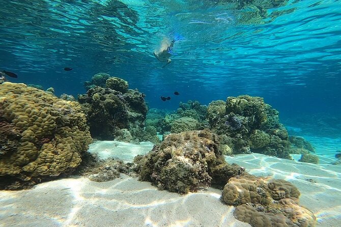 3h dolphin and snorkeling tour in a wild lagoon with Mobydick - Why Maraa Lagoon makes this tour different