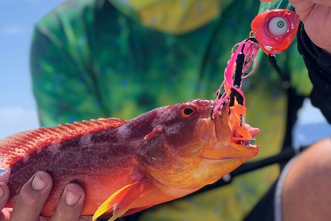 4 Hour Ariki Fishing Activity in Moorea - Setting out from Manava at 8:00 a.m.