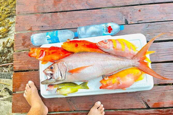 4 Hour Ariki Fishing Activity in Moorea - The first run of the fishing gear