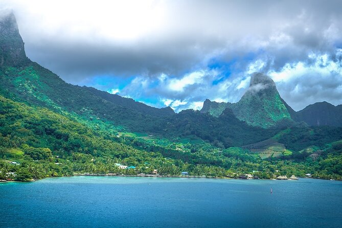 4 Hour Private Humpback Whales Encounter in Moorea - The crew brings more than whale facts