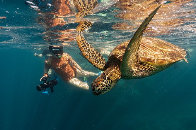 4-Hour Rarotonga Going Troppo Nightlife Tour - Three or four venues create variety, not a fixed music style