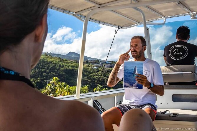 4 Hours of Humpback Whale Watching in Tahiti - When snorkeling is possible, and when it is not