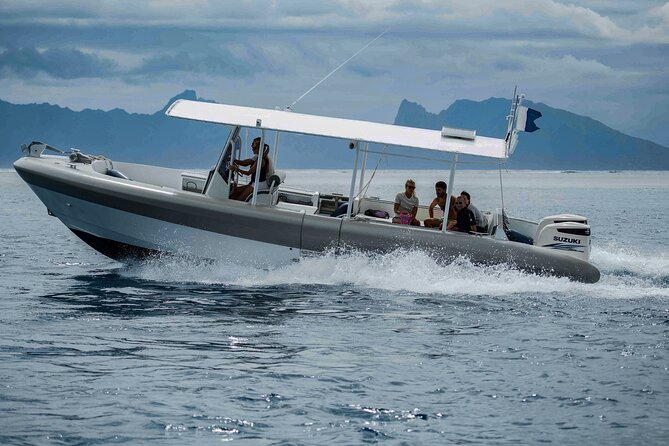 4 Hours of Humpback Whale Watching in Tahiti - Is the $127.54 price fair?