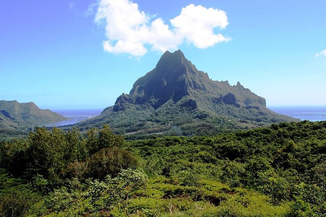 4x4 Moorea Safari Tours : With Hotel transfers - Manutea Tahiti for local tastings