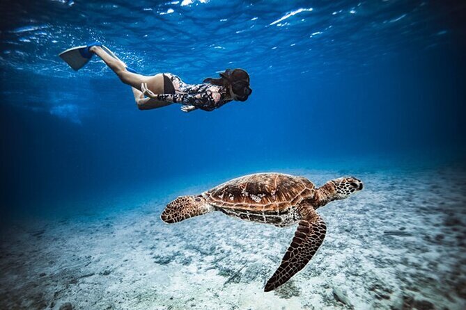 6 Hour Private Boat Activity with Snorkeling & Lunch - Seeing Cook Bay and Opunohu Bay from the water