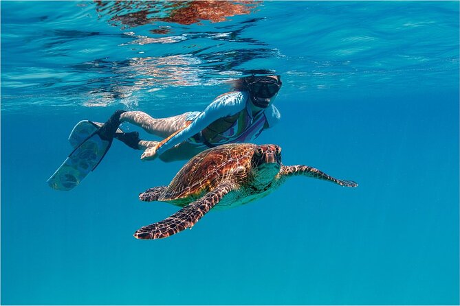 A Cook Islands Turtle Tour - small groups, premium experience - Coral canyons, turtles, and the value of a guide