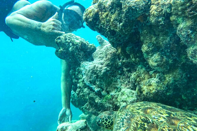 A Cook Islands Turtle Tour - small groups, premium experience - Weather, cancellations, and smart scheduling