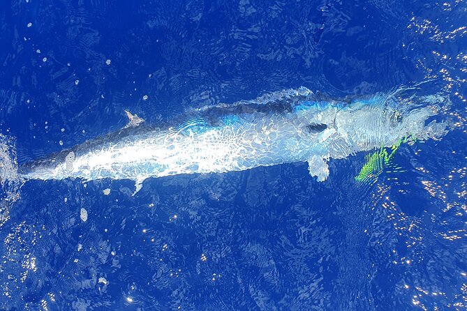 A Day of Big Game Fishing in a small group - Captain Laurent, Merry, and the human side of the trip