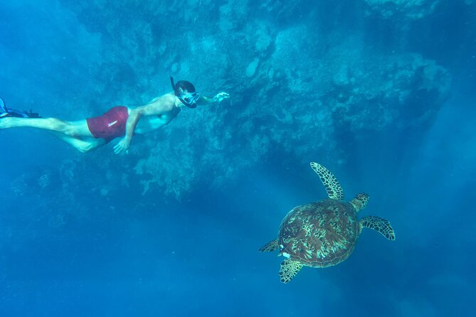 A Turtle Tour on Rarotonga - small groups, premium experience - How strong is the current?