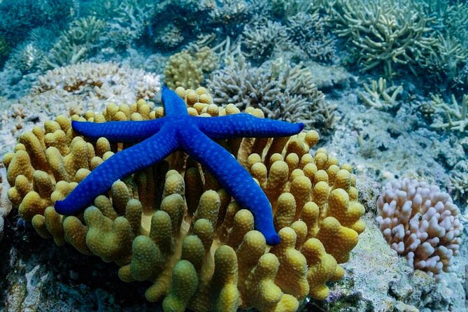 A Turtle Tour on Rarotonga - small groups, premium experience - Is $119.77 a fair price?