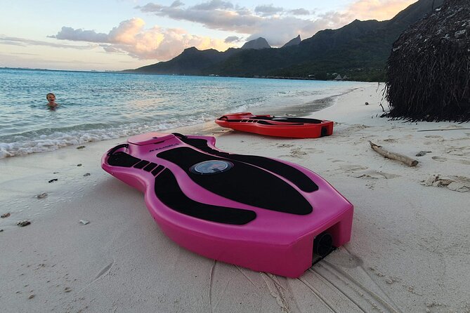 Activity/Excursion Lagoon Tour to Moorea by Canoe 6 hours - Coral gardens and Moorea’s underwater color