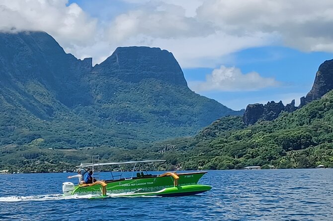 Activity/Excursion Lagoon Tour to Moorea by Canoe 6 hours - Who will enjoy this Moorea canoe tour