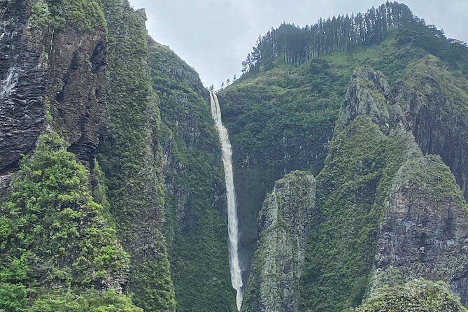 Adventurous Escape to Hakaui Valley - Key points before you book