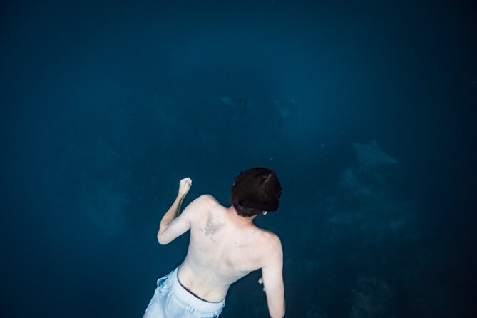 An Eagle Ray and Turtle Tour-Small Groups & Photography Included - Eagle rays depend on the weather