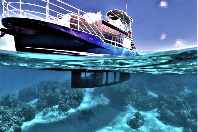 An Immersed Day in Bora Bora with O-sea - Who will get the most from O’sea Bora-Bora