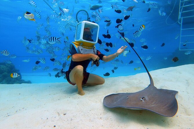 Aqua Safari Introductory Helmet Dive (Underwater Walk) - Thirty minutes on the lagoon floor