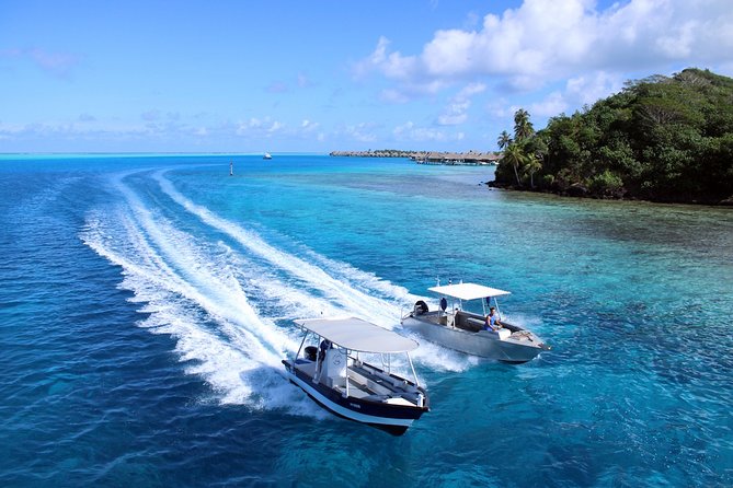 Aqua Safari Introductory Helmet Dive (Underwater Walk) - Who should book this Bora Bora experience