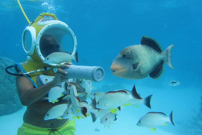 Aquablue Moorea - Meeting stingrays and lagoon fish