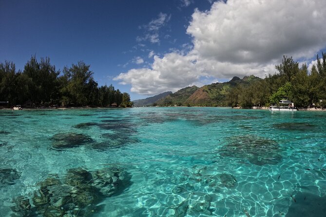 Aquablue Moorea - Photos and video are worth considering