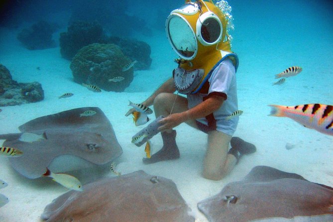 Aquablue Moorea - Weather, timing, and cancellation
