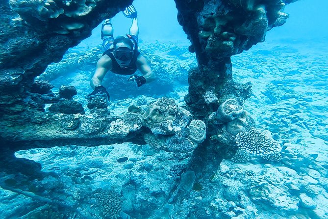 Ariki Adventures: Premium Sea Scooter Shipwreck Adventure - Key points to know before booking