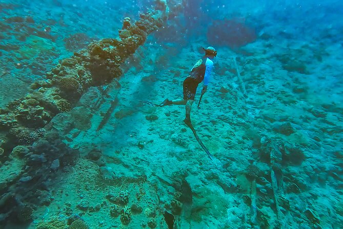 Ariki Adventures: Premium Sea Scooter Shipwreck Adventure - Coral Gardens and marine life beyond the reef