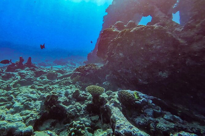 Ariki Adventures: Premium Sea Scooter Shipwreck Adventure - Who should book this sea scooter safari?