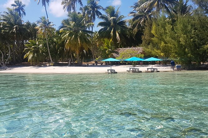 Authentic Polynesian Experience - How much value do you get for $146.24?