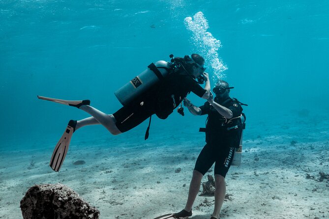 Baptism diving in the turquoise waters of Tahiti - Your first look beneath Tahiti’s turquoise water