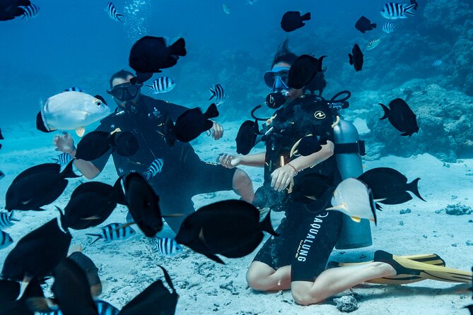 Baptism diving in the turquoise waters of Tahiti - The underwater portion: fish, weightlessness, and a new view of Tahiti