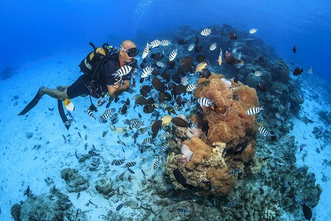 Baptism diving in the turquoise waters of Tahiti - The opening lesson: getting comfortable before going below