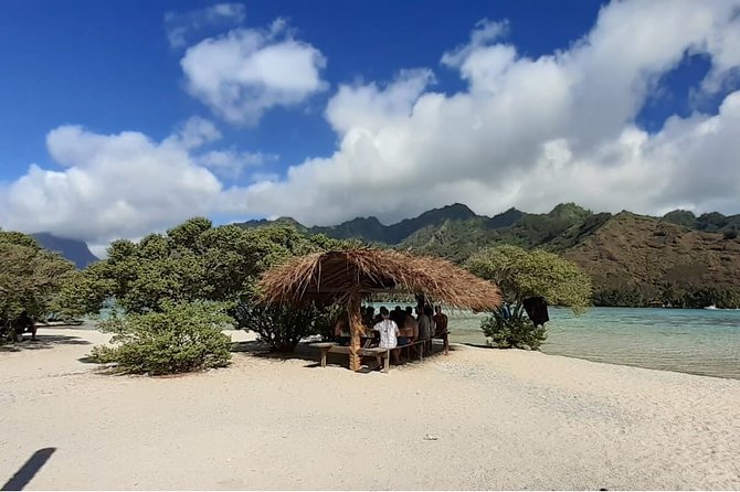 Best Way to Interact with Ocean Wildlife with Lunch. 6H - Why this Moorea lagoon trip is worth your day