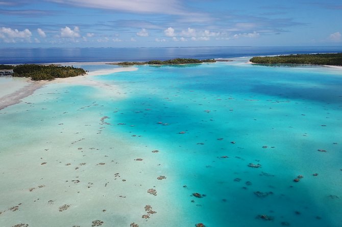 Blue lagoon private tour - 10:00 a.m. at the Blacktip Shark Nursery