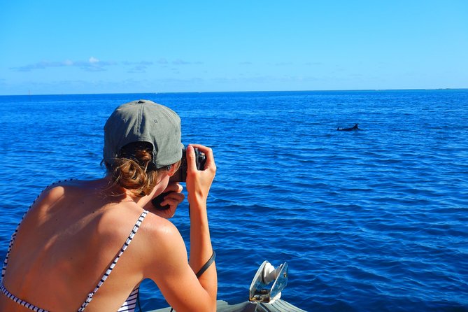 Boat tour 1/2 day Excursion in the lagoon of Moorea - Swimming near stingrays and black-tip sharks
