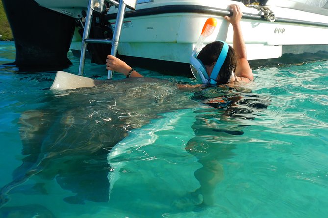 Boat tour 1/2 day Excursion in the lagoon of Moorea - Turtles, dolphins, and the surprises of the day