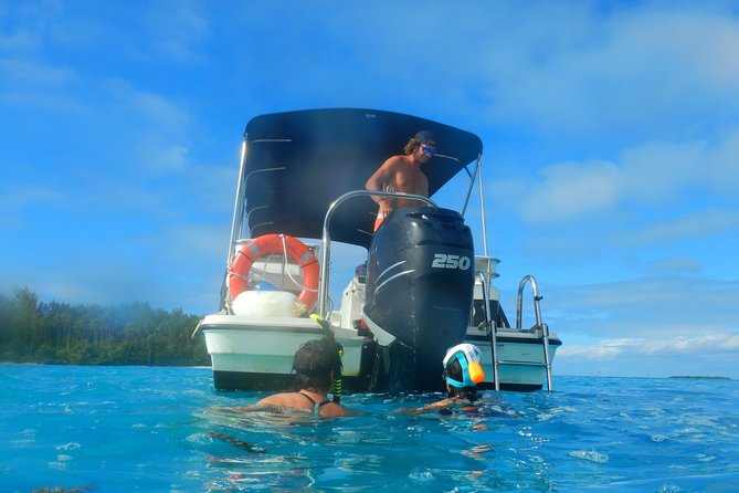 Boat tour 1/2 day Excursion in the lagoon of Moorea - What the $121.46 price gets you