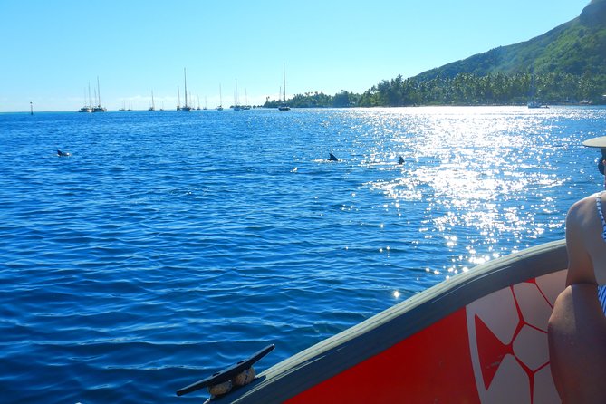 Boat tour 1/2 day Excursion in the lagoon of Moorea - Weather, cancellation, and simple planning