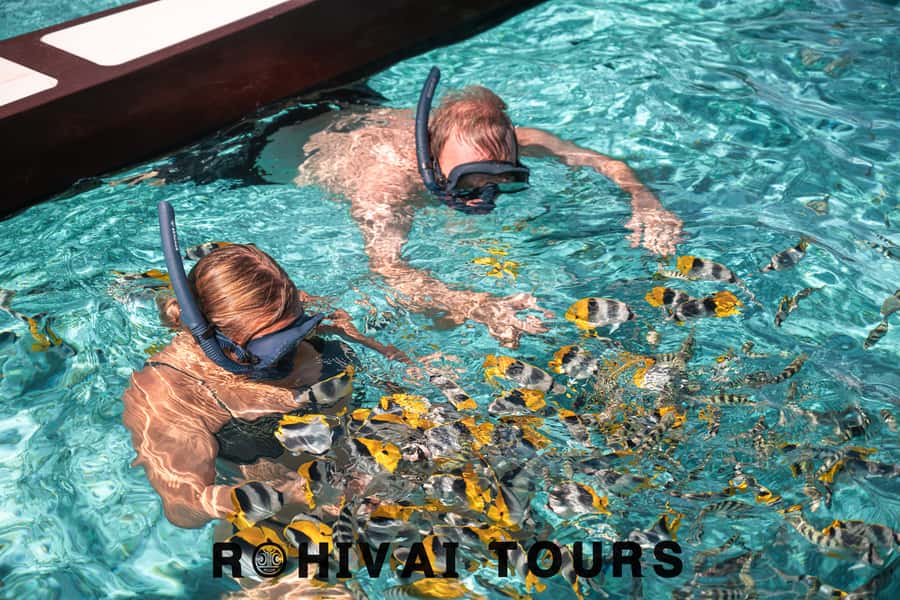 Bora Bora: 1/2 day lagoon safari - Shared tour - First water stop: sharks, stingrays, and a safety briefing