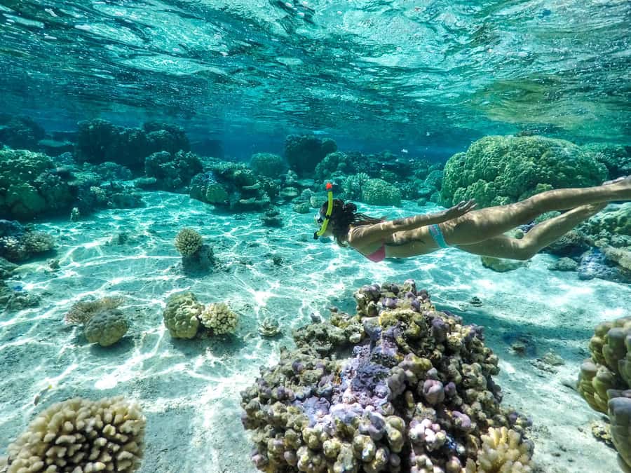 Bora Bora: 3.5-Hour Lagoon Boat Tour with Snorkeling - Starting at your hotel pontoon